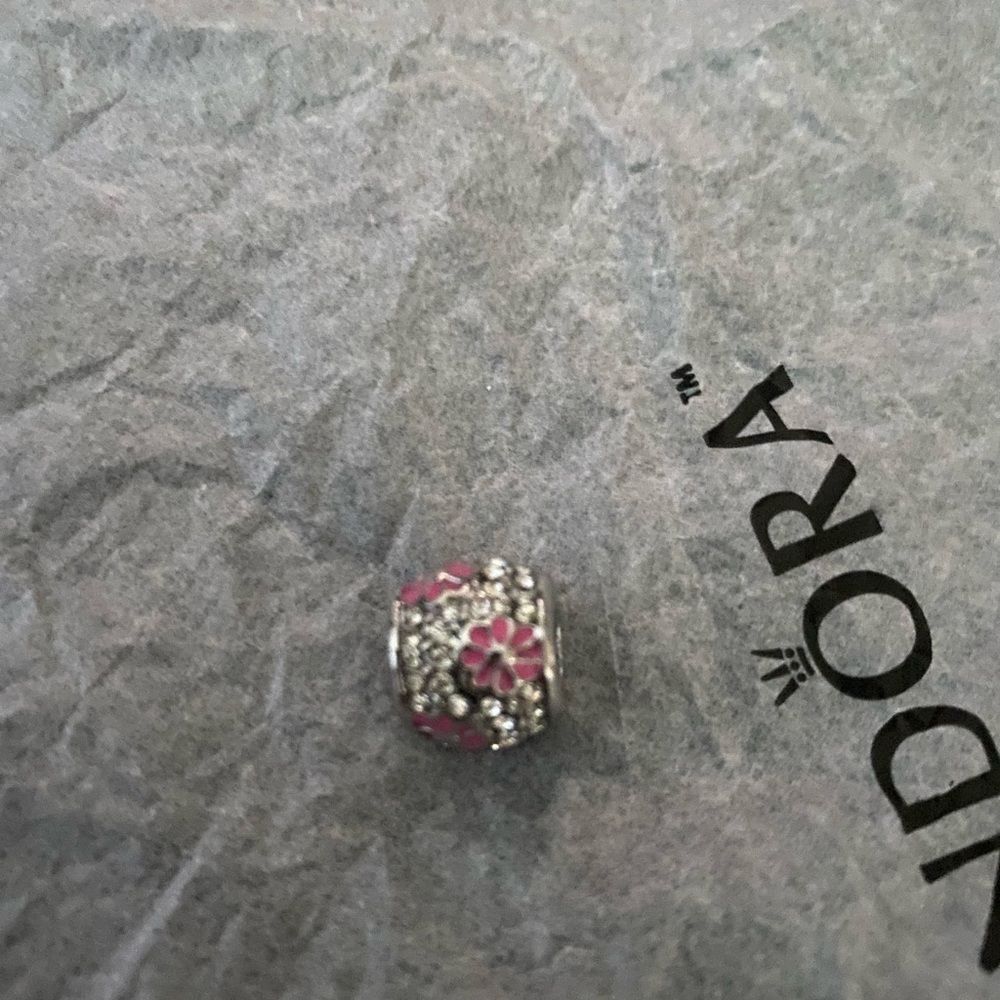 Charm for pandora bracelet